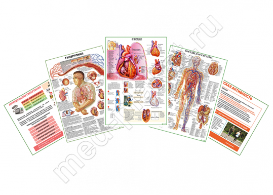 Комплект плакатов для кабинета функциональной диагностики
