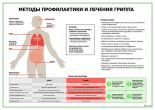 Методы профилактики и лечения гриппа (горизонтальный)