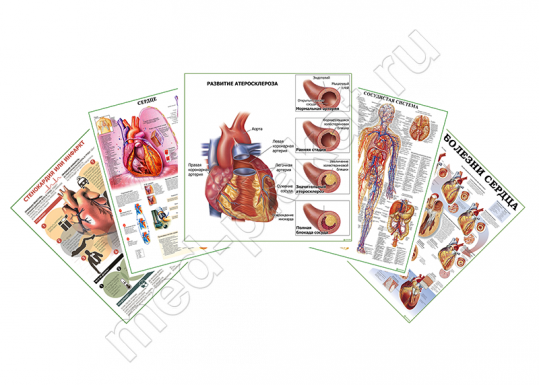 Комплект плакатов для кабинета кардиолога