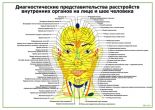 Диагностические представительства расстройств внутренних органов на лице и шее человека горизонтальный